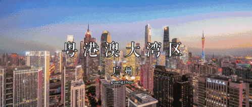 大湾区时代的佛山新篇 广州人才汇聚，共筑美好城市新图景