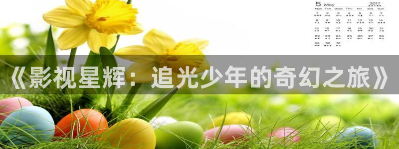 《影视星辉：追光少年的奇幻之旅》