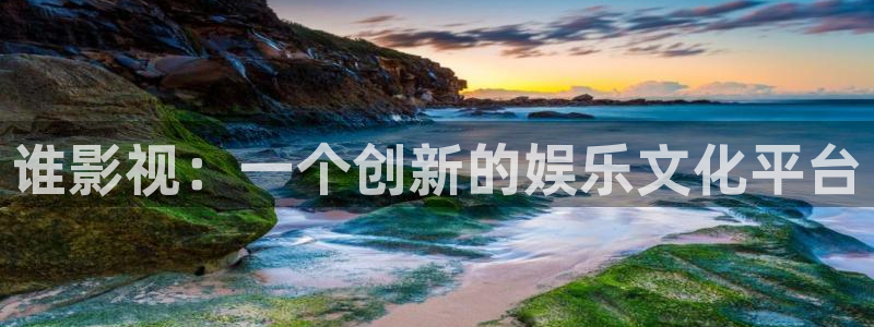 谁影视：一个创新的娱乐文化平台