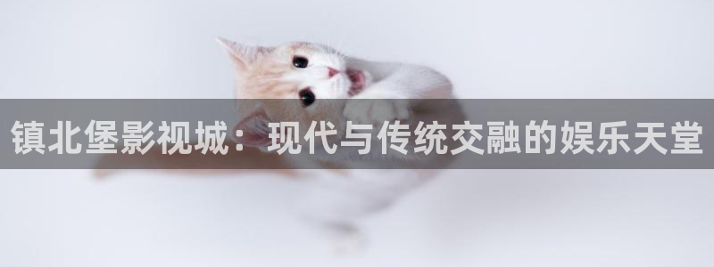 镇北堡影视城：现代与传统交融的娱乐天堂