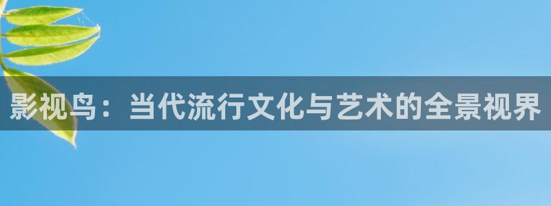 影视鸟：当代流行文化与艺术的全景视界