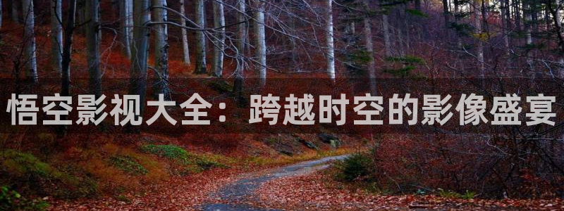 悟空影视大全：跨越时空的影像盛宴