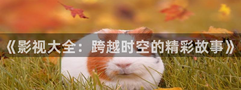 《影视大全：跨越时空的精彩故事》