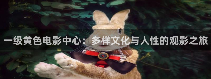 一级黄色电影中心：多样文化与人性的观影之旅