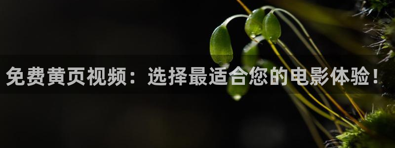免费黄页视频：选择最适合您的电影体验！