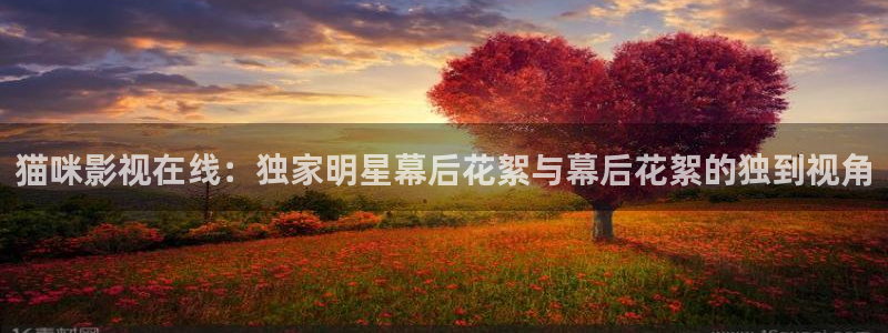 猫咪影视在线：独家明星幕后花絮与幕后花絮的独到视角