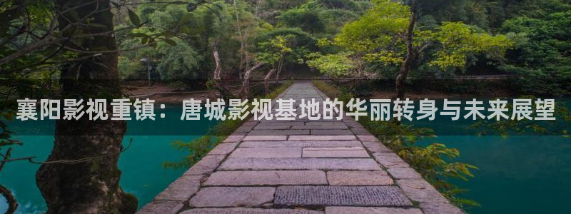 襄阳影视重镇：唐城影视基地的华丽转身与未来展望