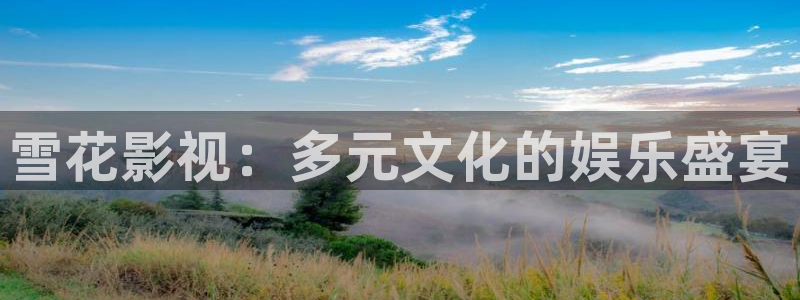 雪花影视：多元文化的娱乐盛宴