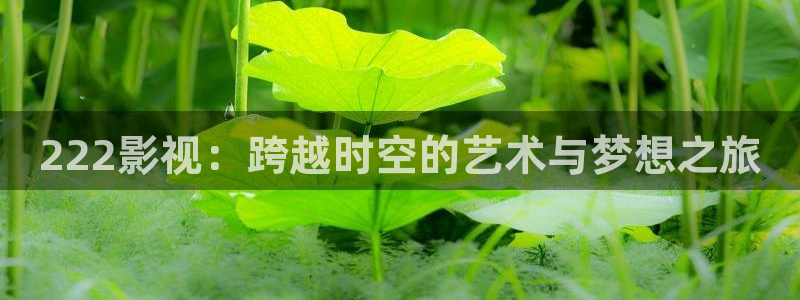 222影视：跨越时空的艺术与梦想之旅